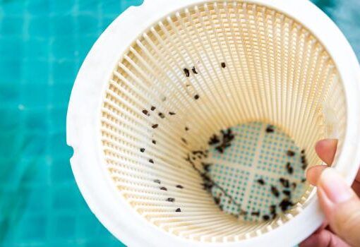 Zu sehen ist das Bild 1 zum Beitrag mit dem Thema: Pool Kartuschenfilter reinigen Anleitung