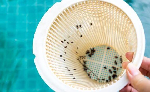 Zu sehen ist das Bild 1 zum Beitrag mit dem Thema: Pool Kartuschenfilter reinigen Anleitung