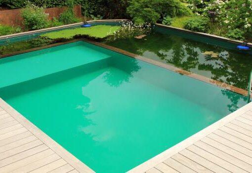 Zu sehen ist das Bild 3 zum Beitrag mit dem Thema: Tipps wie Sie einen Naturpool selber bauen und Swimmingpool Trends 2025
