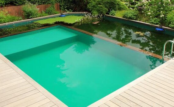 Zu sehen ist das Bild 3 zum Beitrag mit dem Thema: Tipps wie Sie einen Naturpool selber bauen und Swimmingpool Trends 2025