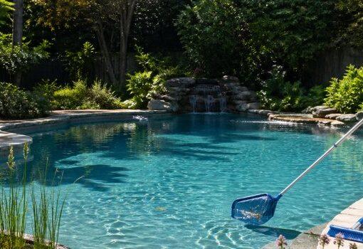 Zu sehen ist das Bild 1 zum Beitrag mit dem Thema: Naturpool oder Folienpool